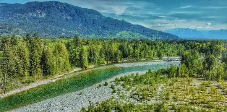 Chehalis River picture from a drone view