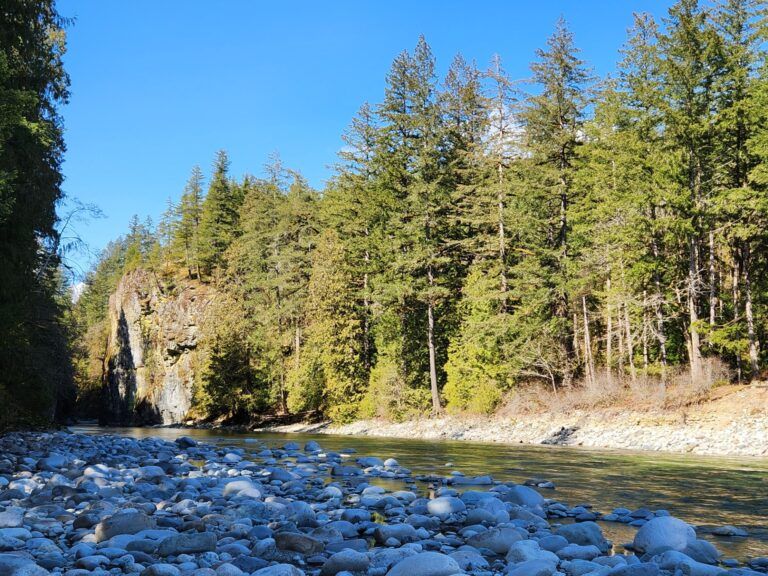 Chehalis river group 0