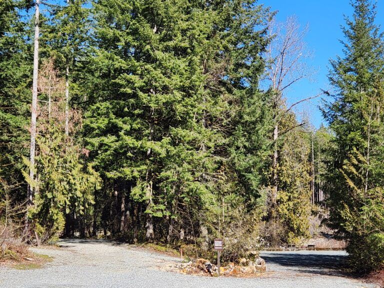 Chehalis river group 7