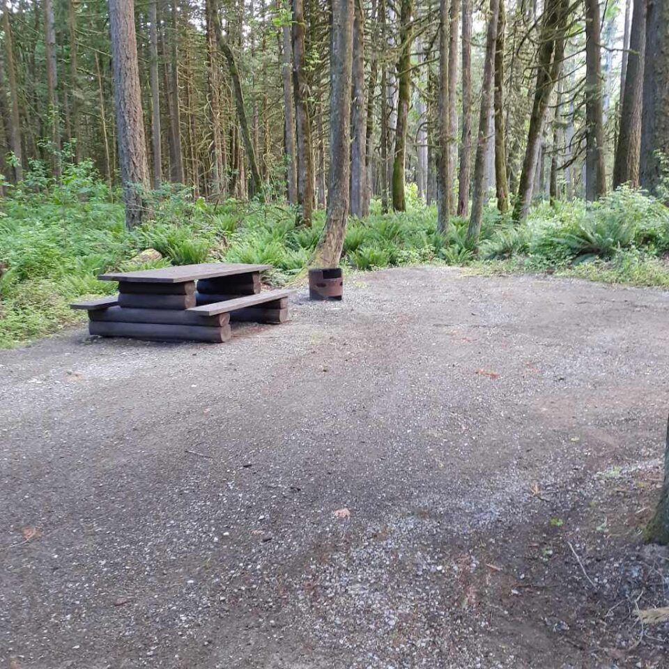 Chehalis_campsite_01