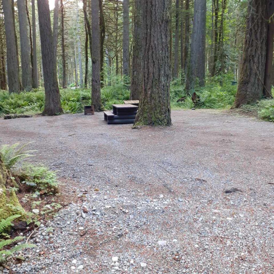 Chehalis_campsite_03-04