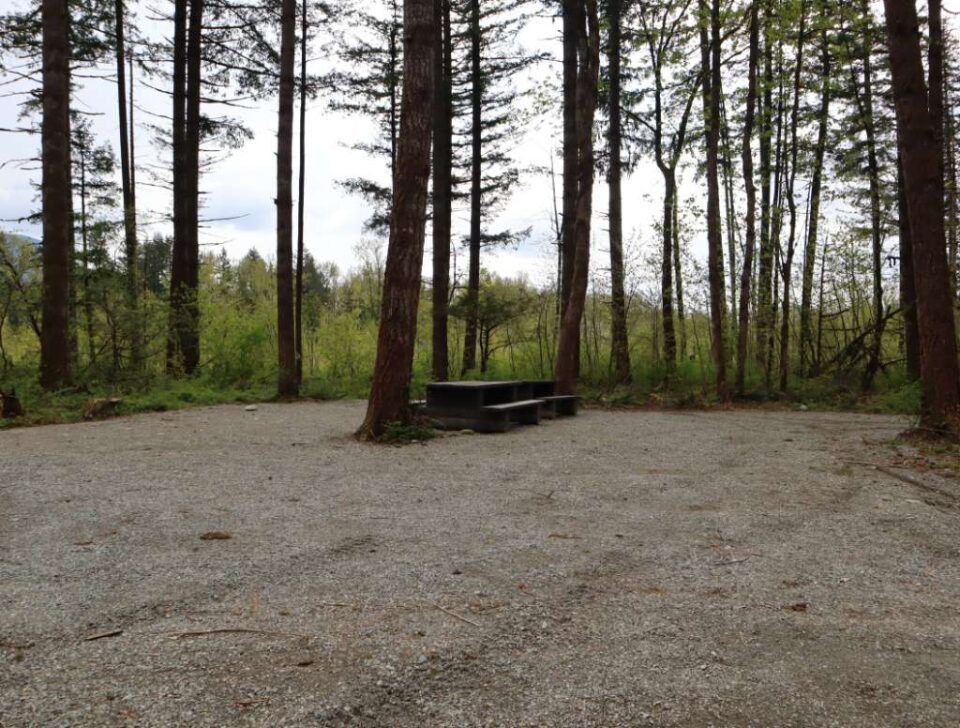 Chehalis_campsite_104-105