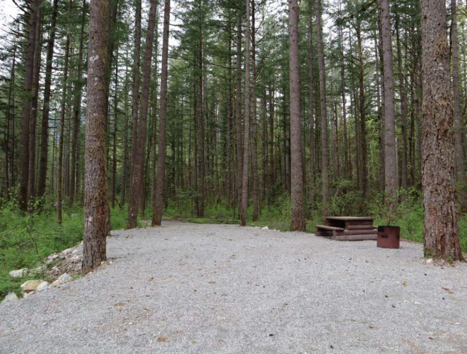 Chehalis_campsite_131