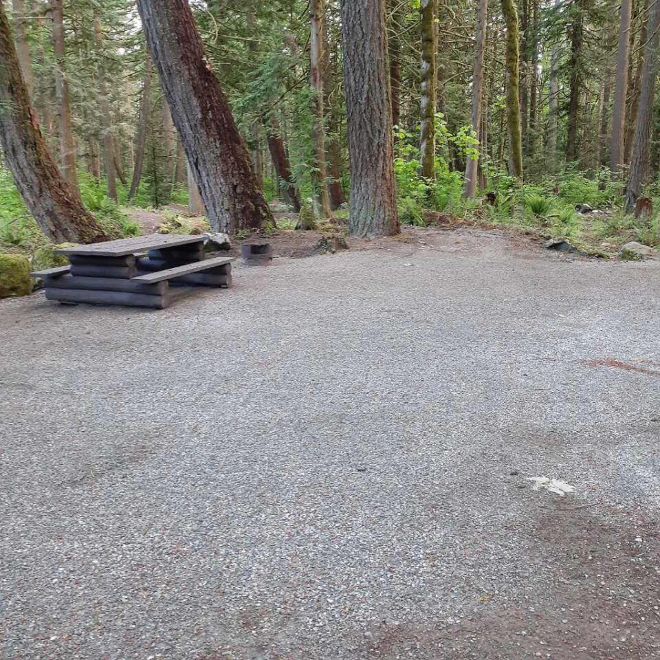 Chehalis_campsite_33
