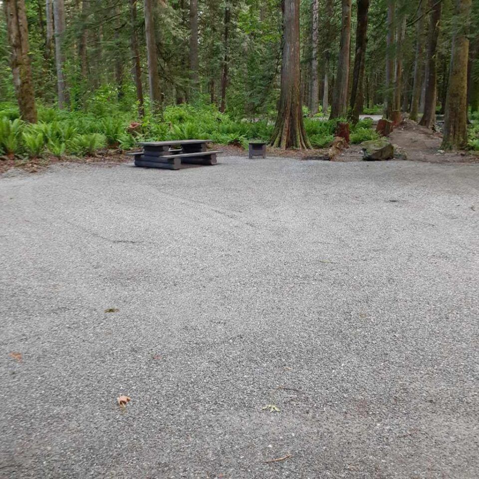 Chehalis_campsite_39
