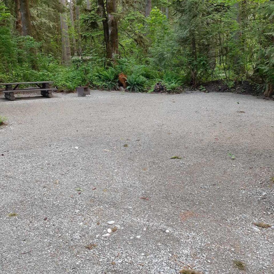 Chehalis_campsite_41