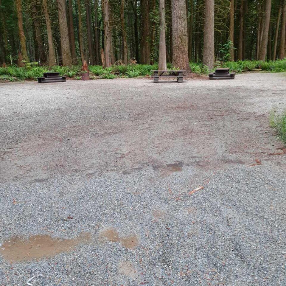 Chehalis_campsite_56-57-58
