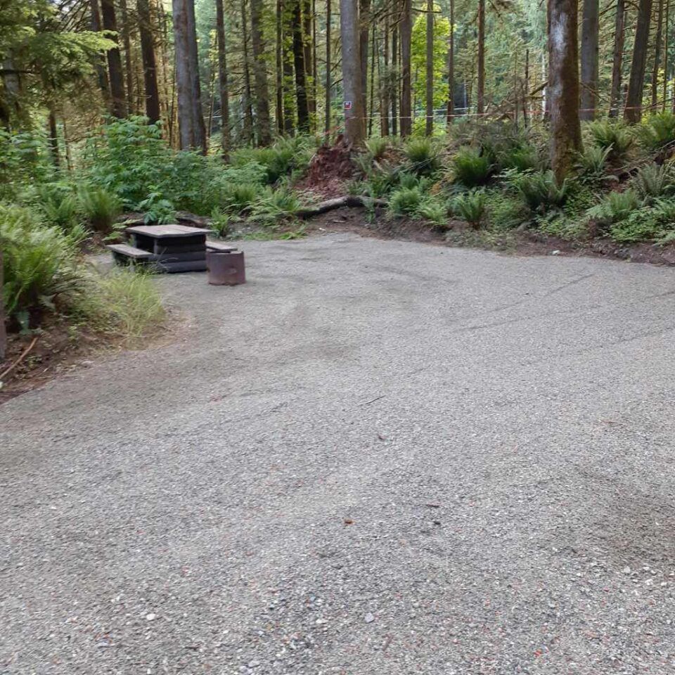 Chehalis_campsite_64