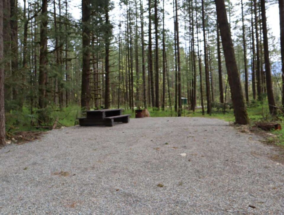 Chehalis_campsite_67