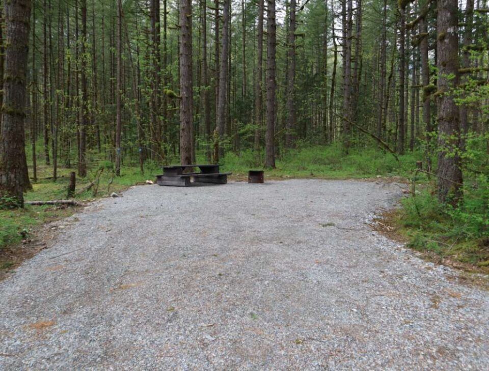 Chehalis_campsite_71