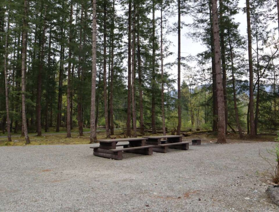Chehalis_campsite_80-81