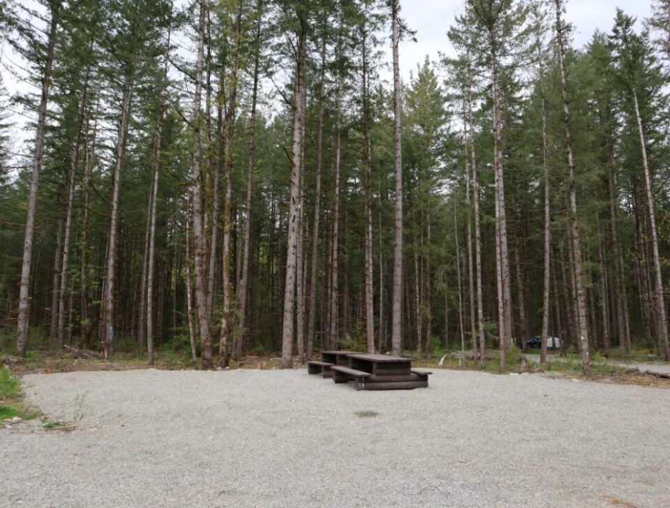 Chehalis_campsite_86-87
