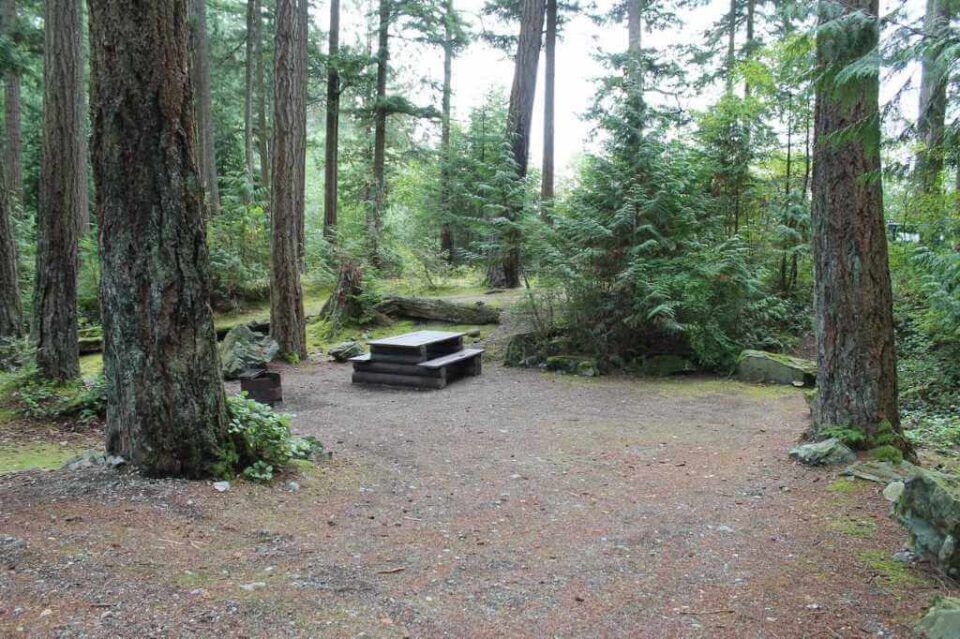 Twenty-Mile-Bay_site-22