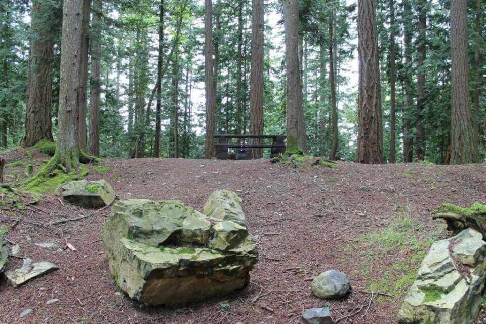 Twenty-Mile-Bay_site-25