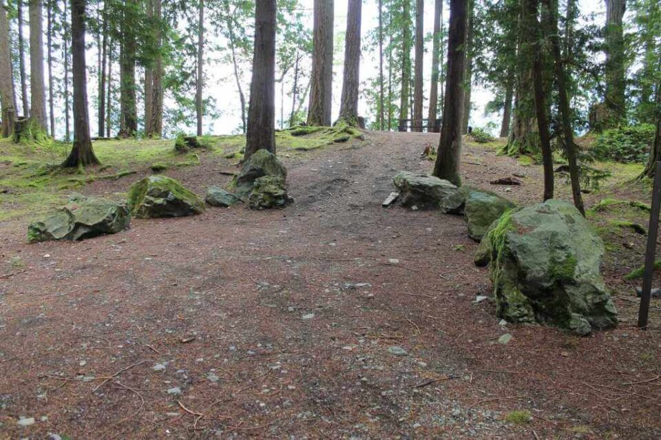 Twenty-Mile-Bay_site-26
