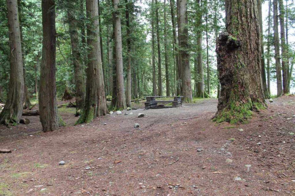 Twenty-Mile-Bay_site-28