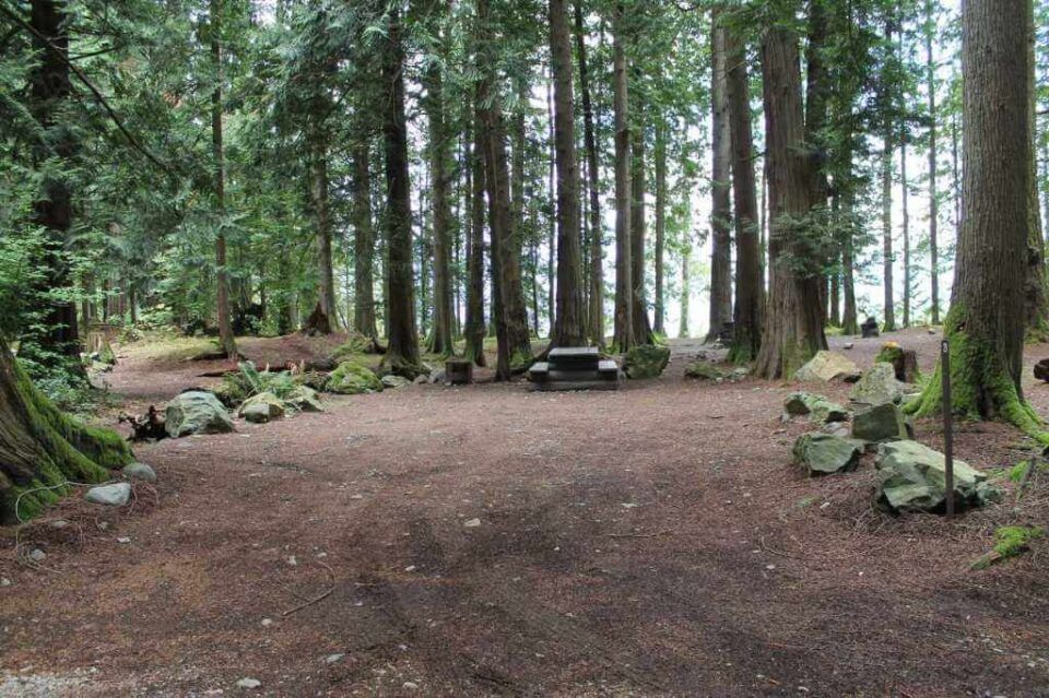 Twenty-Mile-Bay_site-29