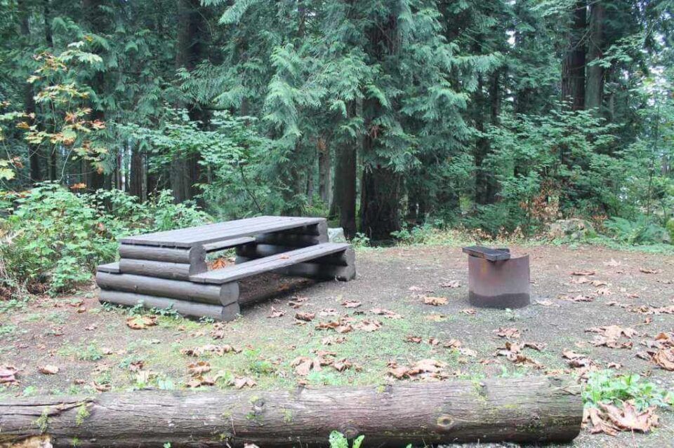 Twenty-Mile-Bay_site-32