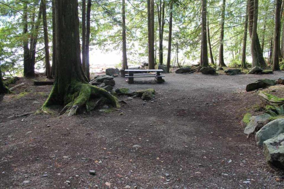 Twenty-Mile-Bay_site-40