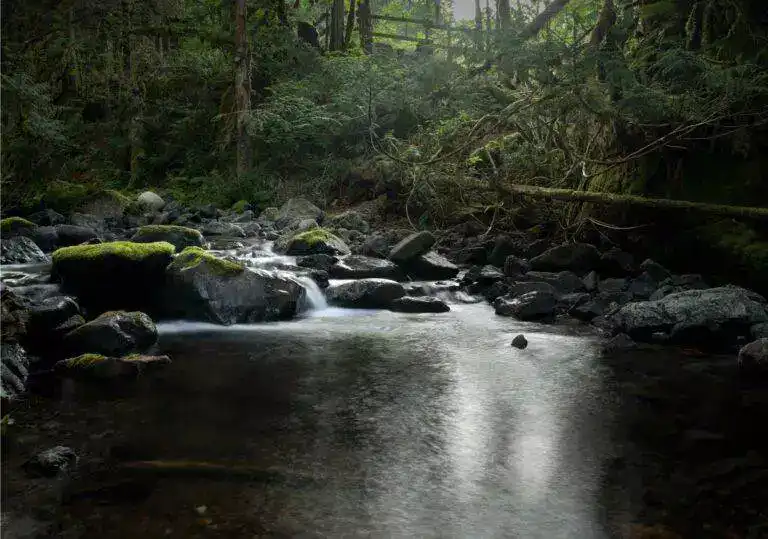 Weaver creek group site 5