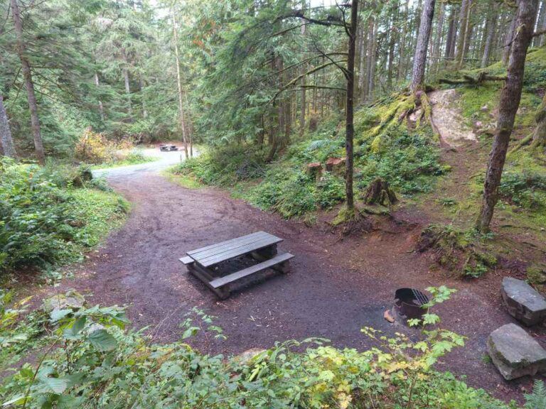 Weaver lake site 26