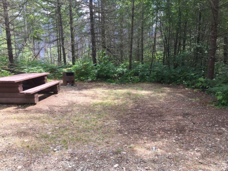 Wood lake group 28