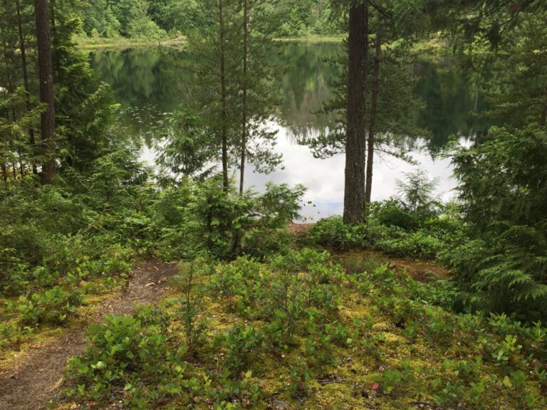 Wood lake campground 2