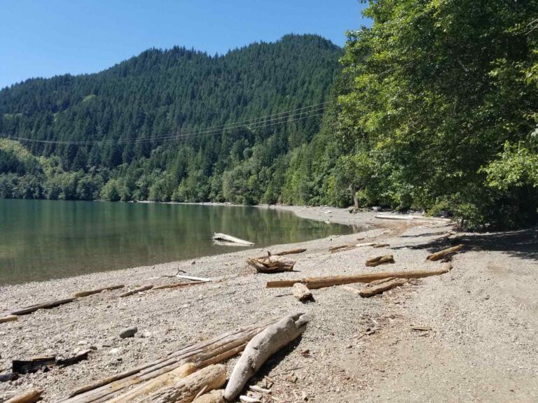 Camp cove group 1