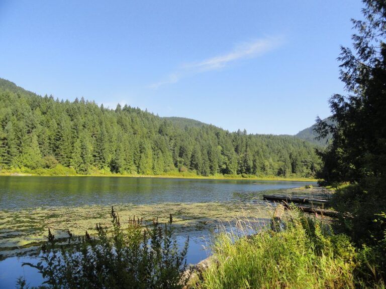 Grace lake campground 1
