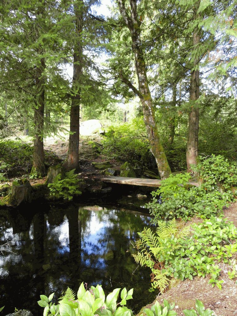 Grace lake campground 4