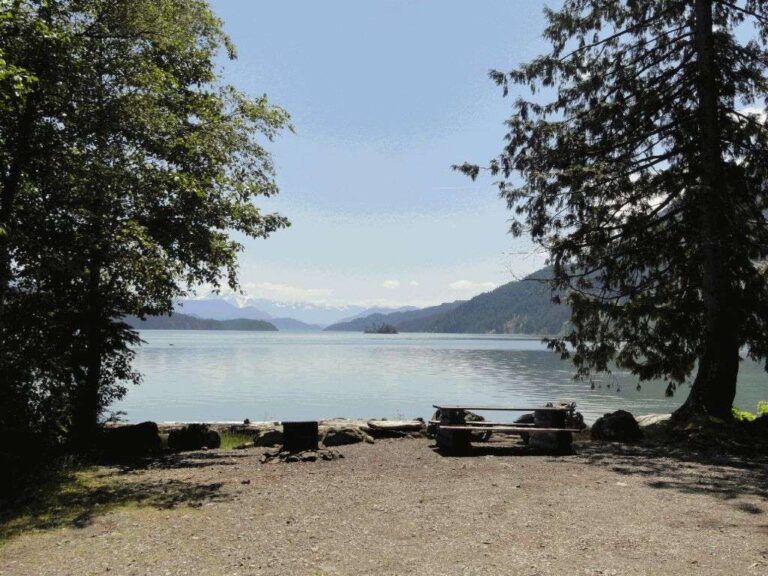 Twenty mile bay campground 1