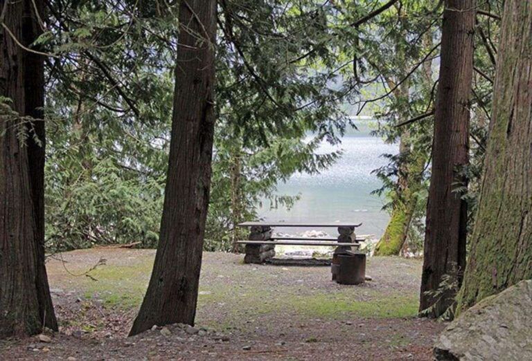 Twenty mile bay campground 3