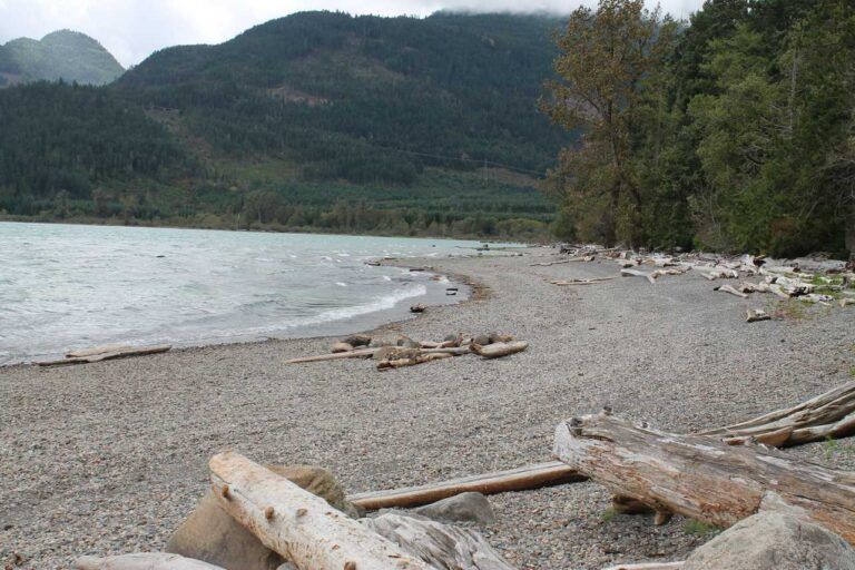 Twenty mile bay campground 4