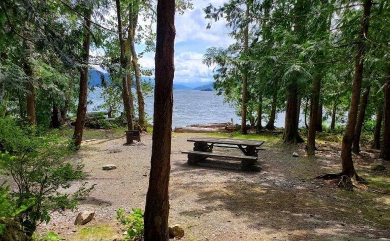 Twenty mile bay campground 5