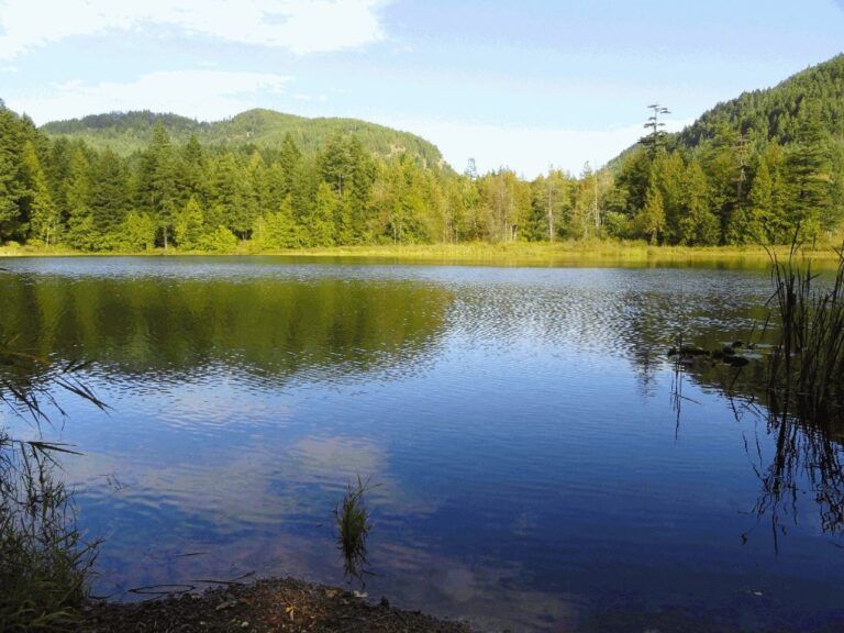 Wolf lake group site 5